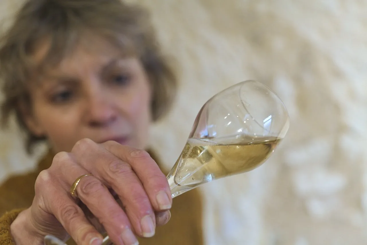 Œnologue SVPé en analyse sensorielle d'un vin effervescent, verre à la lumière