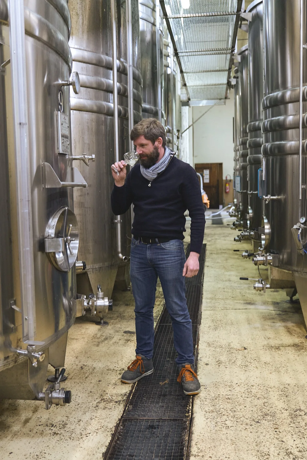 Œnologue SVPé examinant la robe d'un vin effervescent dans la cave troglodytique